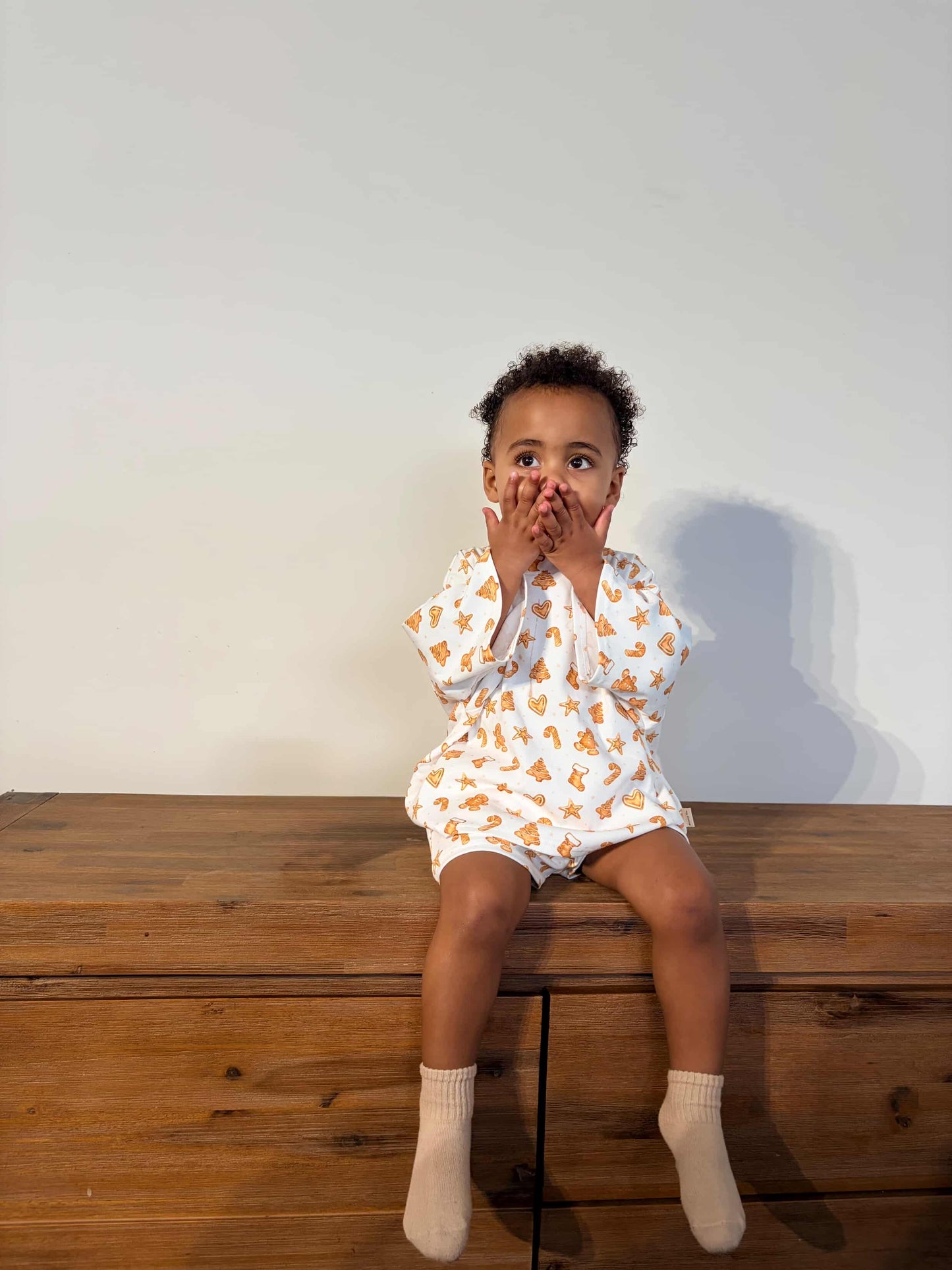 Christmas Gingerbread Set