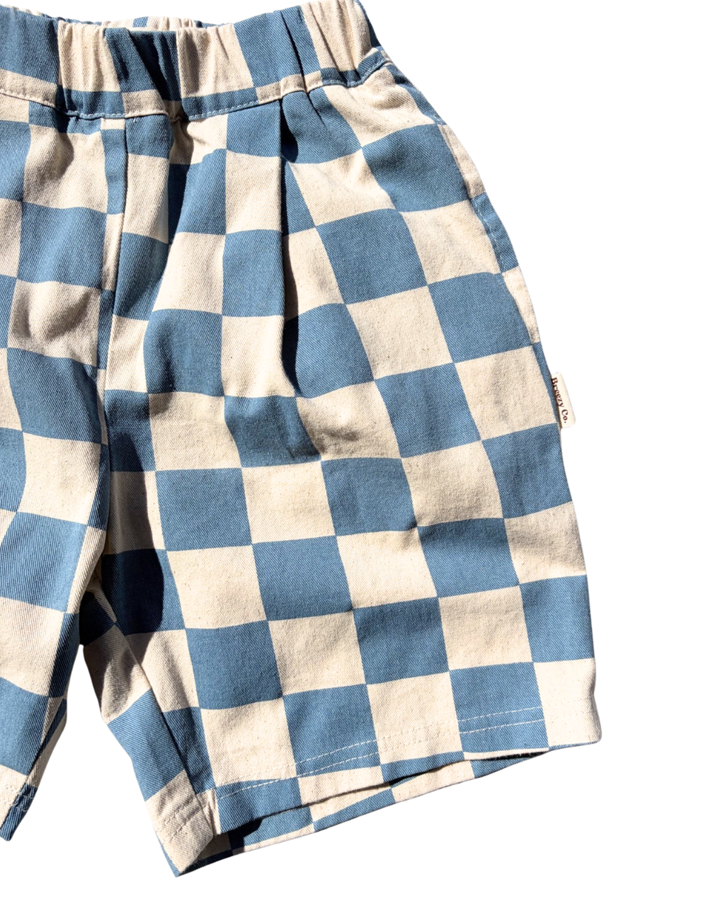 Checkers Shorts - Blue